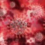 Covid e dieta, che correlazione? I comportamenti consigliati per migliorare il sistema immunitario e l’integrazione mirata a prevenire il Coronavirus
