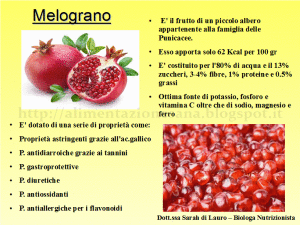 melograno